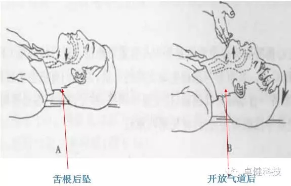 640.webp (7).jpg